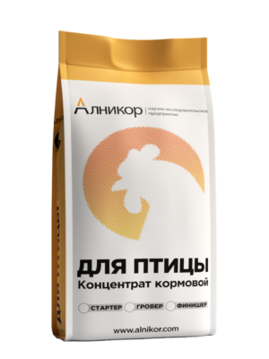 ПРЕСТАРТЕР